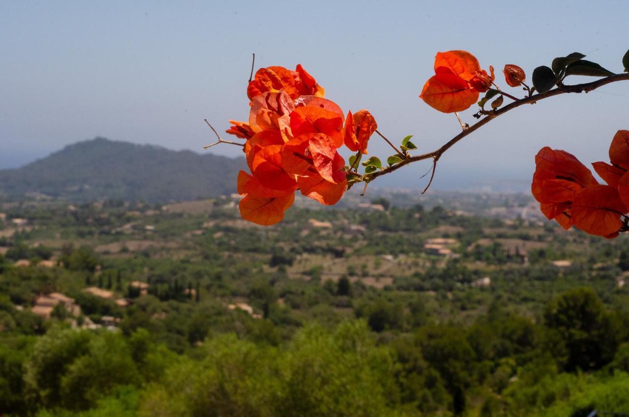 Vila El Cel Son Servera  Exteriér fotografie